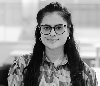 Consultor, analista SEO, posicionamiento de sitios web.